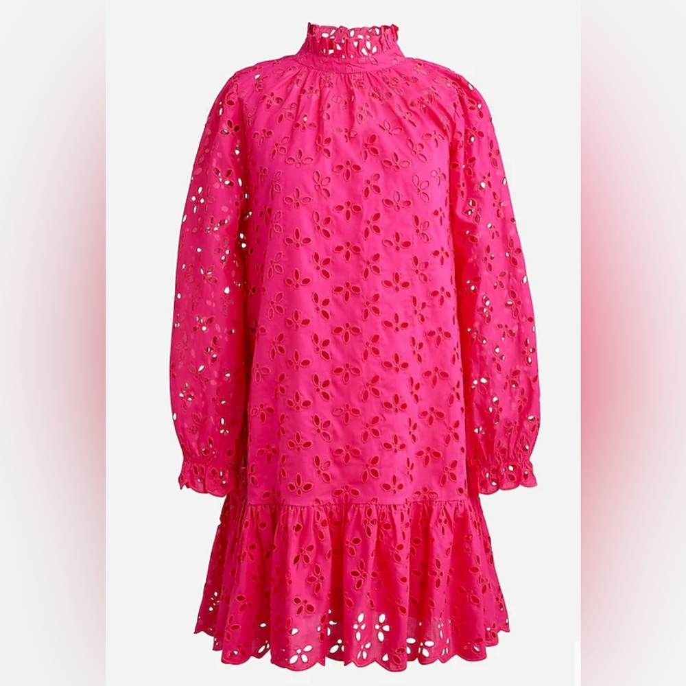 NWT - J Crew Ruffleneck mini dress in eyelet